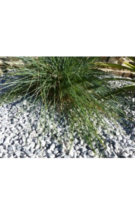 Galet Gris Clair calibre 6-12 mm