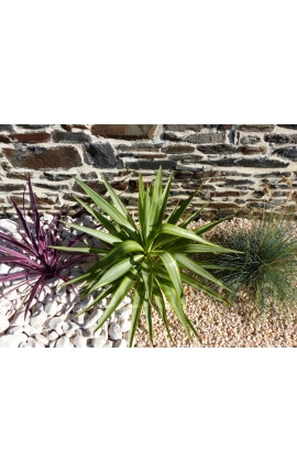 Roze Grind Pak van 7 M² 6-12 mm