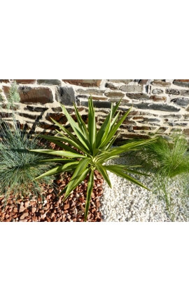 Red Pebble Pak van 7 M² kaliber 12-24 mm