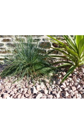 Galet Rouge Pack de 7 M² calibre 12-24 mm