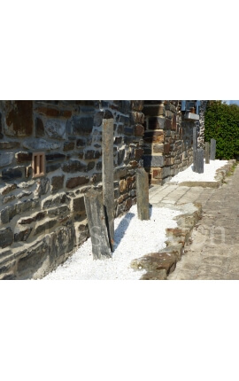 Piquet de Schiste SCIE 1 Mètre