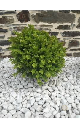 Kieselstein in glänzendem Weiß 12-24 - VRAC Big-Bag - 500 kg