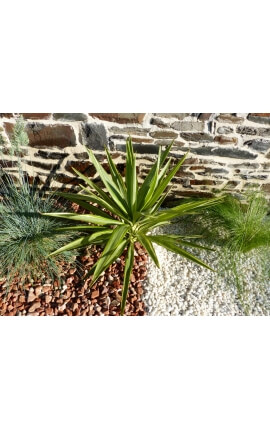 Kaliber zuiver wit kiezelsteen 6-12 mm