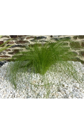 Kaliber Pure White Pebble 6-12 mm