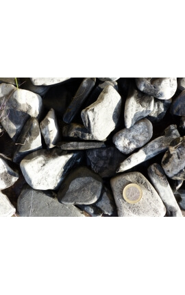 Zebra roller kaliber 40-60 mm