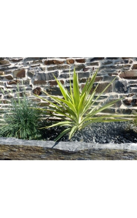 Glanzende zwarte kiezelsteen. Verpakking van 5 M² kaliber 12-24 mm