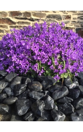 Mattschwarzes Kieselkaliber 40-60 mm