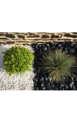 Galet noir Mat calibre 40-60 mm