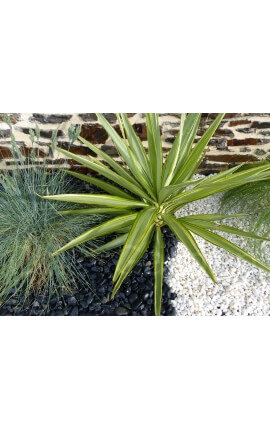 Galet Noir Mat Pack de 5 M² calibre 12-24 mm