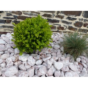 Rotes Kieselkaliber 40-60 mm