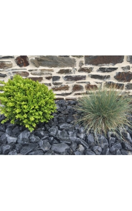 Galet noir Brillant Poli calibre 40-60 mm