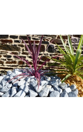 Graues Kieselkaliber 40-60 mm