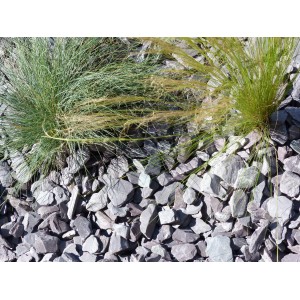 Leisteenmulch Paarse  30-50 - Pak van 3 m² - 9 zakkens - 180 kg