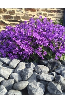 Galet Blanc Mat relief