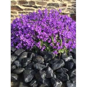 Galet Blanc Mat relief