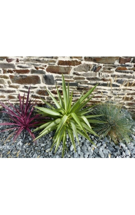 GRIJZE leisteen Mulchkaliber 30-60 mm