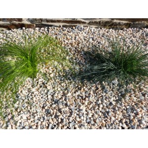 Gravier Couleur HAWAI 6-12 Pack de 10 M² - 20 sacs - 400 kg