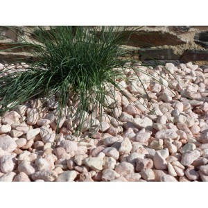 Pink Pebble 12-24 bag 20 Kg