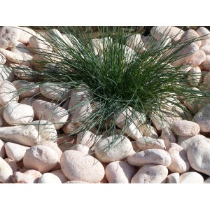 Rosa Kieselstein 40-60 - Pack 40 Säcke - 800 kg