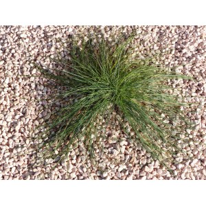 Różowy kamyk 6-12 Opakowanie 15 m² - 30 worków - 600 kg