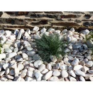 Witte Roze Kiezels 40-60 zakken 20 Kg