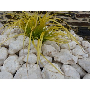 Gelbes Kieselkaliber 40-60 mm