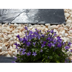 Canto Rodado Blanco Rosa 12-24 Pack 7 M² - 14 sacos - 280 kg