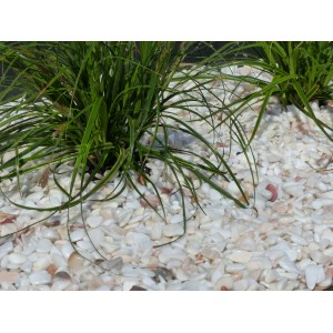 Galet Blanc Rosé 6-12 Pack de 5 M² - 10 sacs - 200 kg