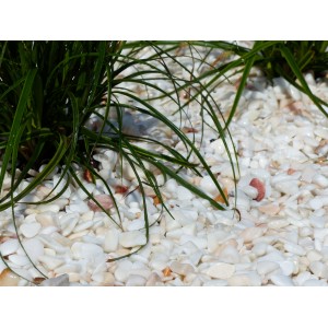 Pedras rosadas e brancas, pacote com 6 a 12 unidades por 10 m² - 20 sacos - 400 kg