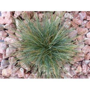 Galet Rouge calibre 40-60 mm