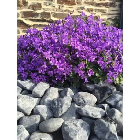 Mattschwarzes Kieselkaliber 40-60 mm