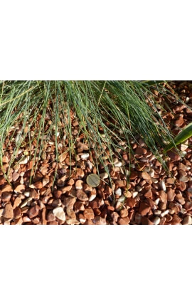 Red Pebble Packung mit 5 M² Kaliber 6-12 mm