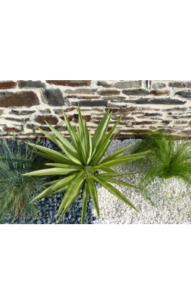 Galet Noir Mat Pack de 5 M² calibre 12-24 mm