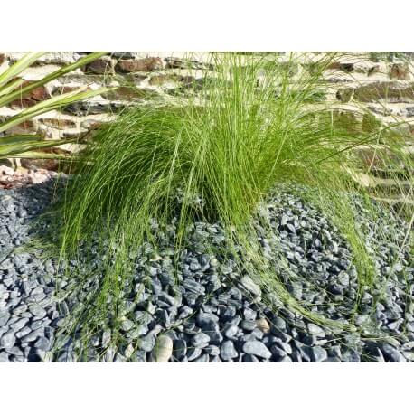 Galet Noir Mat Pack de 5 M² calibre 6-12 mm