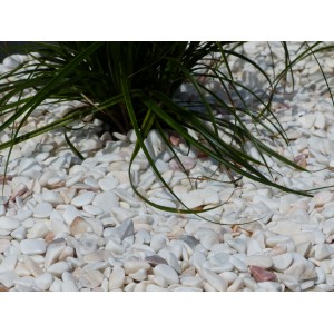 Ciottoli Bianco Rosati 6-12 Confezione da 20 m² - 40 sacchi - 800 kg