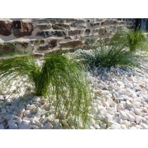 Witte Roze Kiezels 12-24 Pak van 20 M² - 40 zakkens - 800 kg