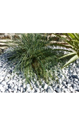 Light Grey Pebble 12-24 Pack of 20 M² - 40 bags - 800 kg