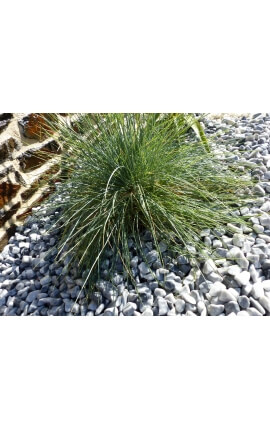 Lichtgrijze kiezelsteen kaliber 12-24 mm