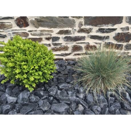 Gepolijste zwarte kiezelsteen kaliber 40-60 mm