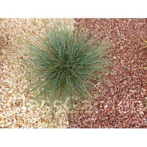 Gravier Rouge Intense calibre 6-12 mm