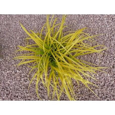 Intens rood grind kaliber 6-12 mm