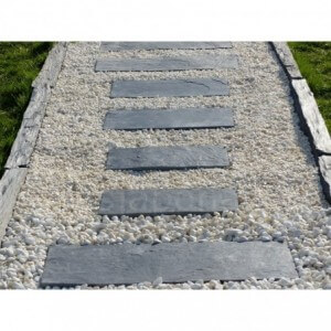 Japanse Pitch Plak 50x25 - Pak van 20 stuks