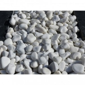 BLANC 12/24 - 500 Kg