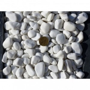 BLANC 12/24 - 500 Kg