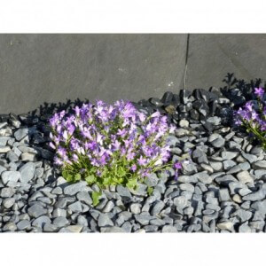 PRETO 12/24 - 250 Kg