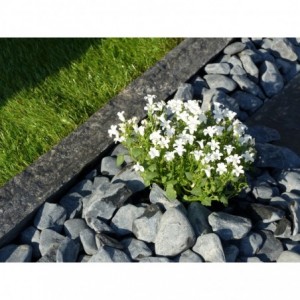 BLACK 40/60 - 1000 Kg