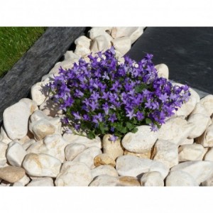 YELLOW 40/60 - 1000 Kg