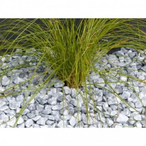 CINZA 12/24 - 500 Kg