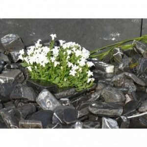 BLACK LAJA 40/60 - 1000 Kg