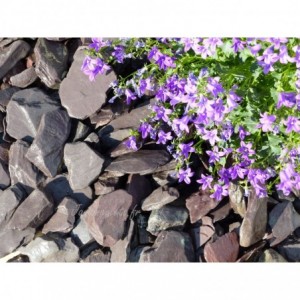 ARDESIA VIOLINA 30/50 - 750 Kg